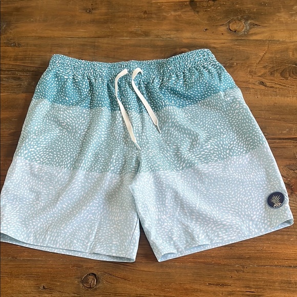 chubbies Other - Chubbies Swimtrunks 7” lined